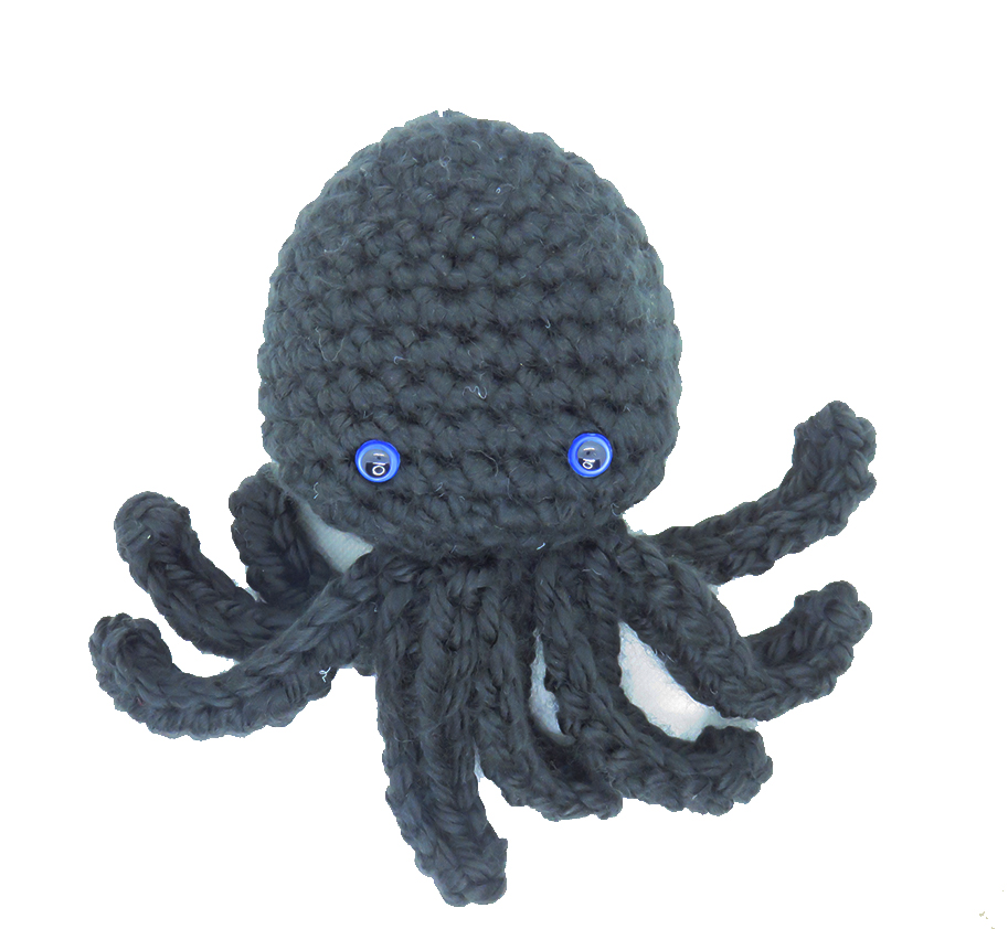 Pieuvre Noire – Image 2